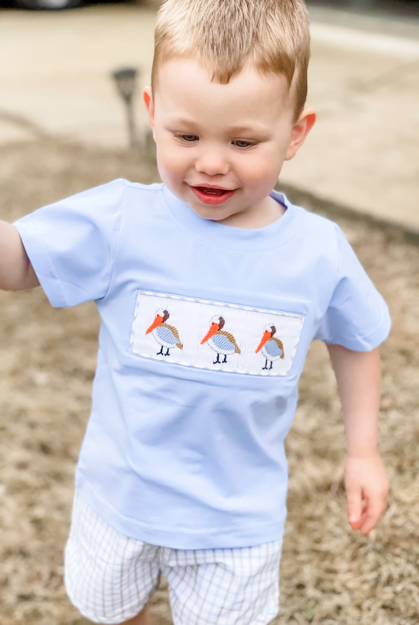 Pelican Boy Short Set