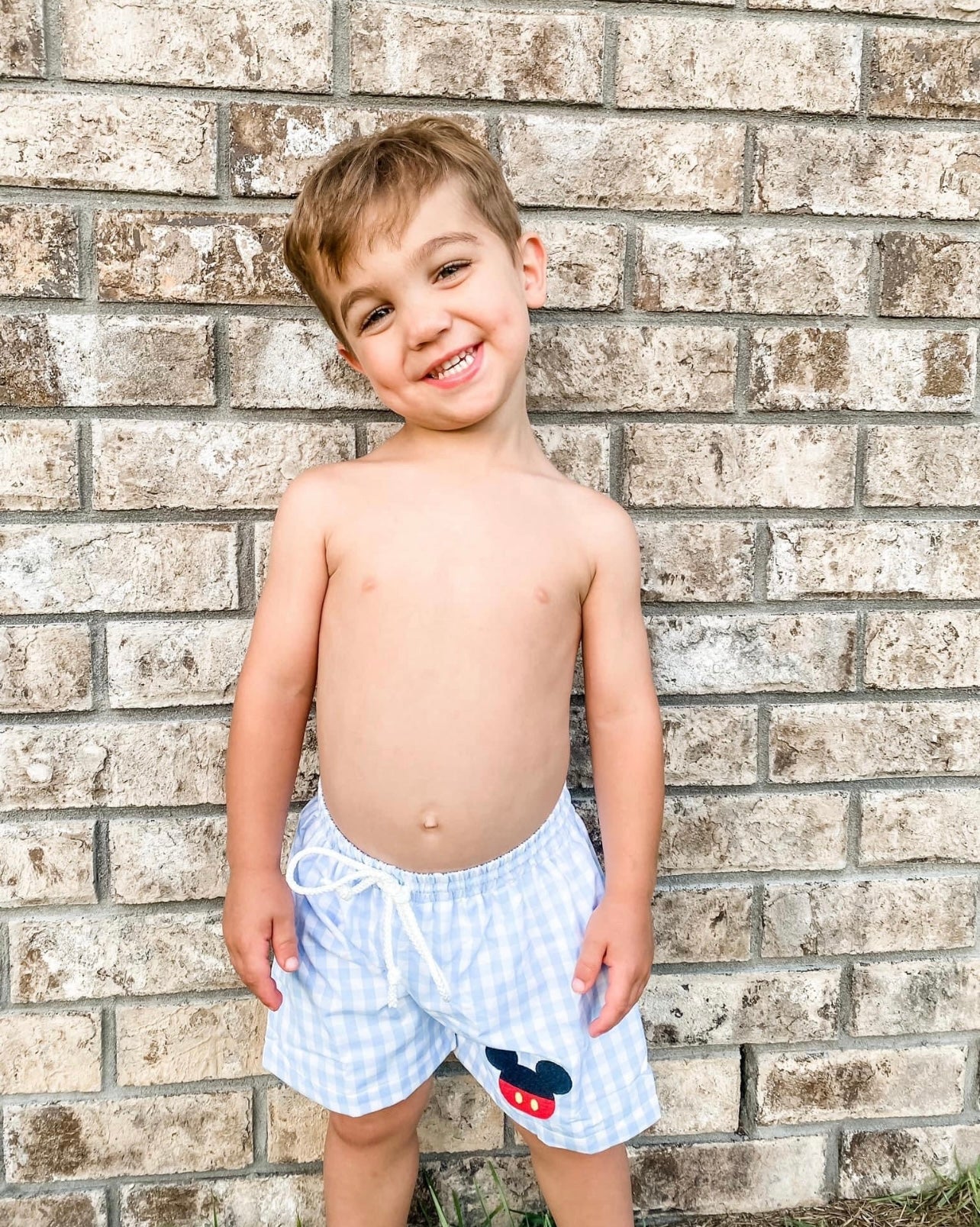 Blue Mouse Applique Trunks