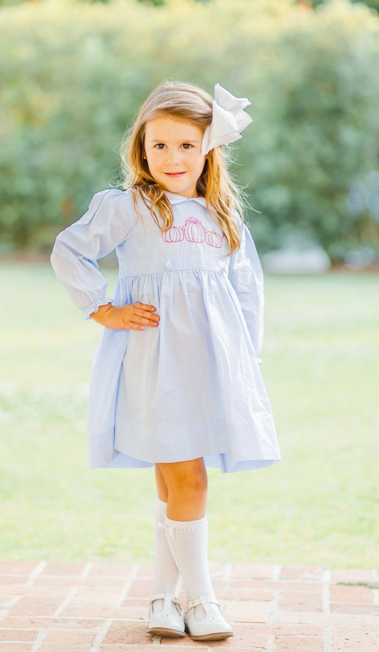 3 in 1 Fall Dress