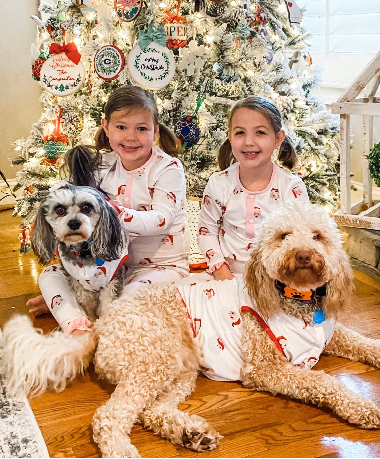 Jolly Old St. Nicholas Dog Shirt