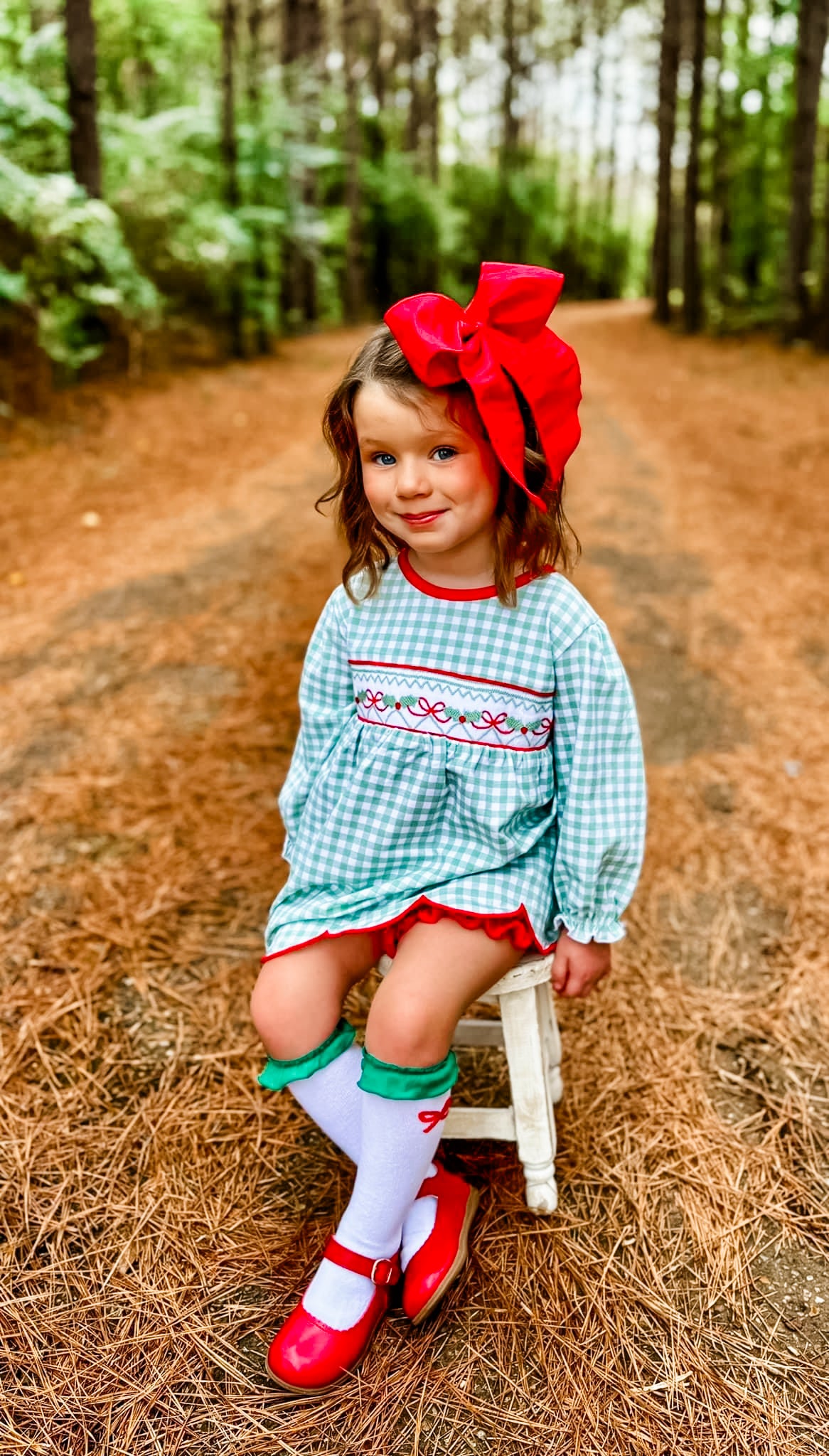Sage Christmas Bow Smocked Skirted Bubble